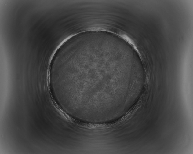 X0000085771076200703231218