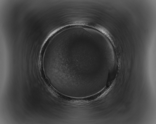 X0000085771077200703231218