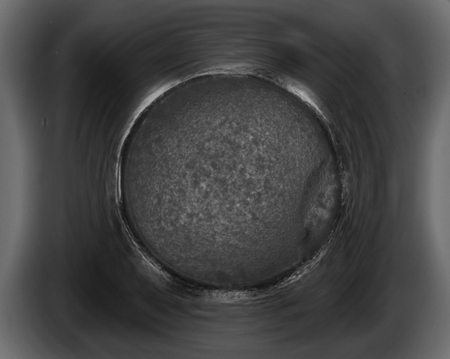 X0000085771079200703231218