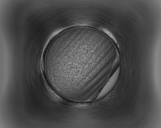 X0000085771080200703231218