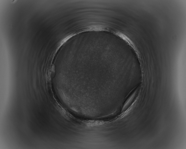 X0000085771081200703231218