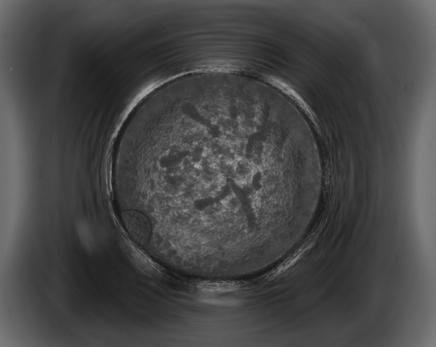 X0000085771083200703231218