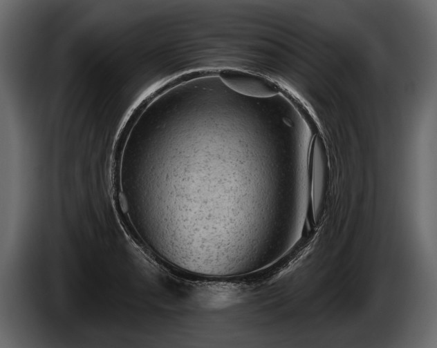 X0000085771085200703231218