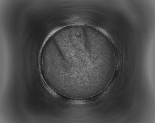 X0000085771086200703231218