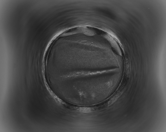 X0000085771088200703231218