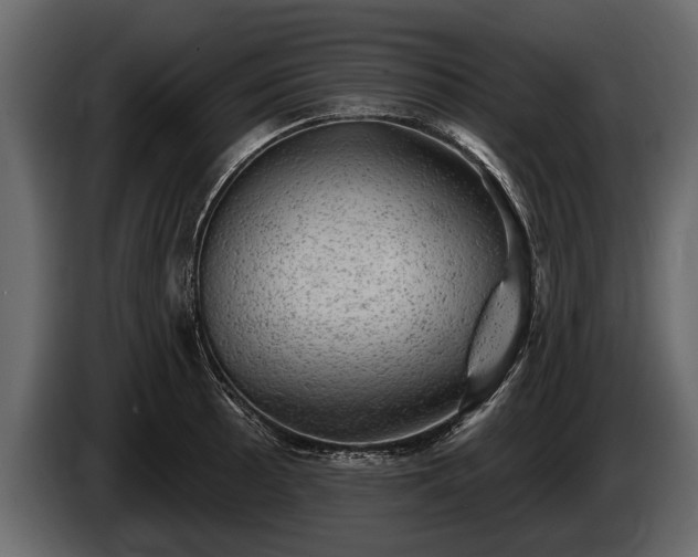 X0000085771089200703231218