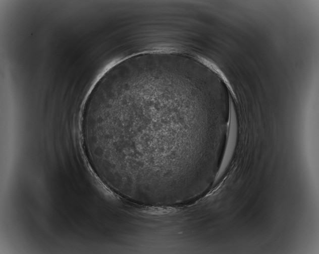 X0000085771091200703231218