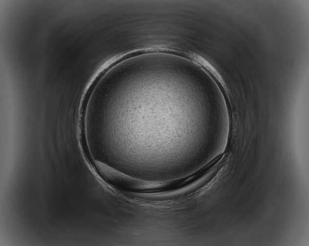 X0000085771093200703231218