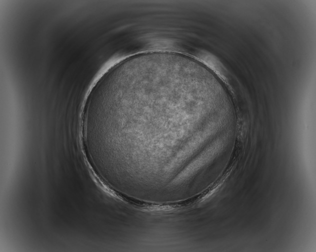 X0000085771094200703231218