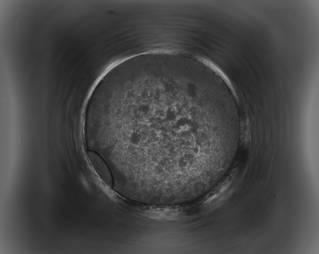 X0000085771099200703231218