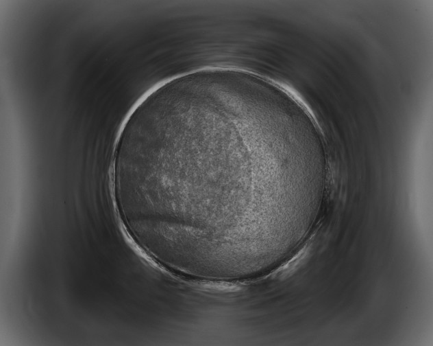 X0000085771100200703231218