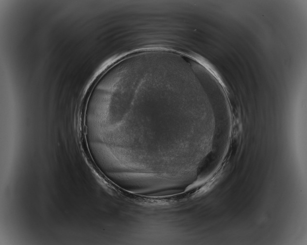 X0000085771101200703231218