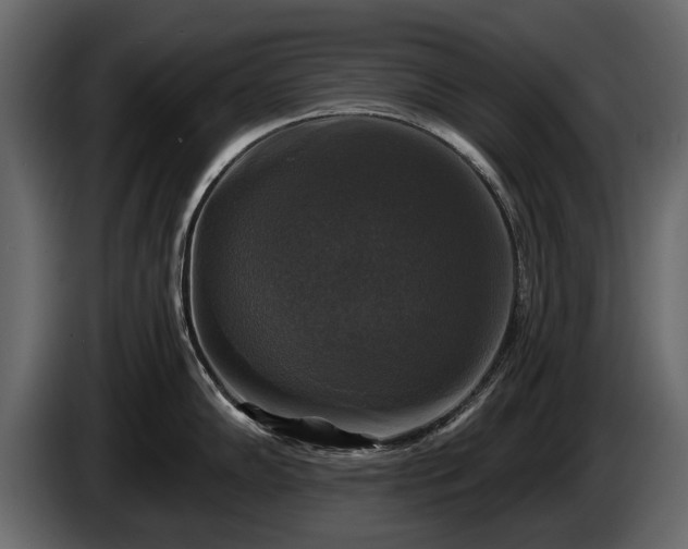 X0000085771102200703231218