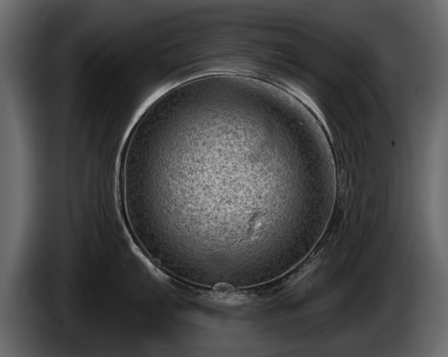 X0000085771103200703231218