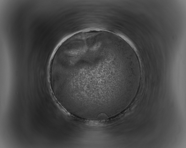 X0000085771104200703231218