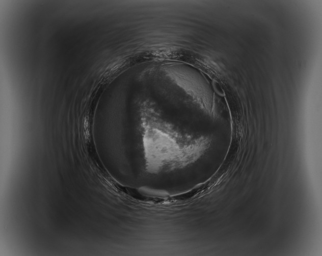 X0000085771106200703231217