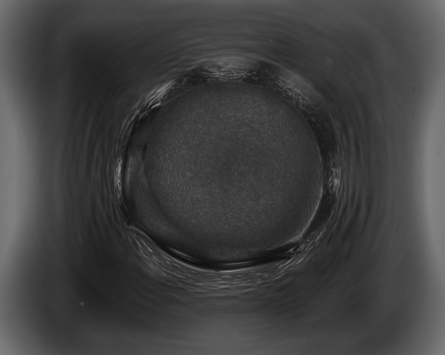 X0000085771108200703231217