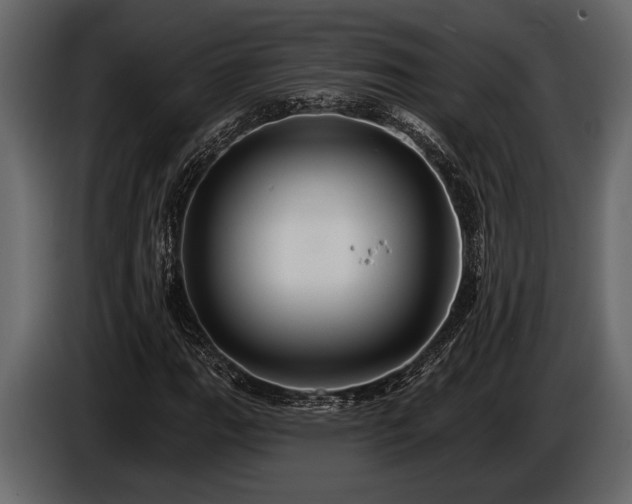 X0000085771111200703231217