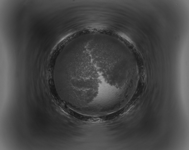 X0000085771112200703231217