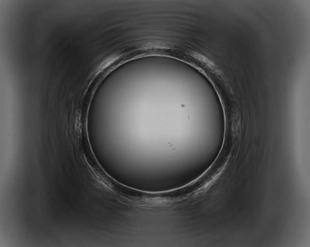 X0000085771113200703231217