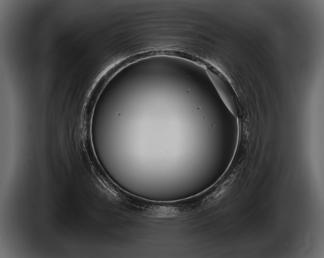 X0000085771119200703231217