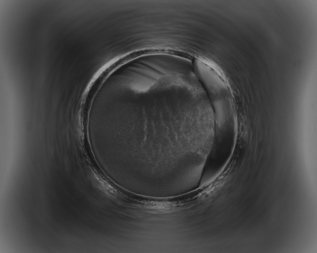 X0000085771120200703231217