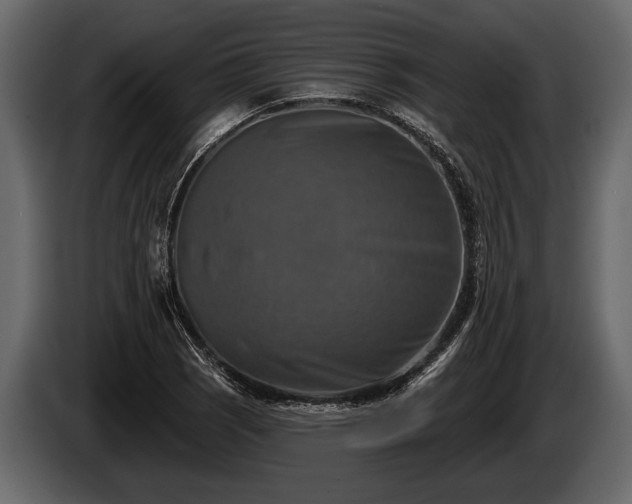 X0000085771121200703231217