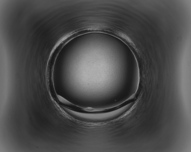 X0000085771122200703231217