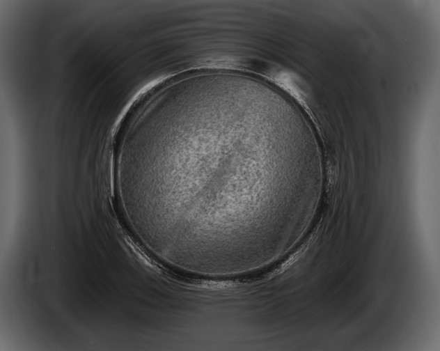 X0000085771123200703231217