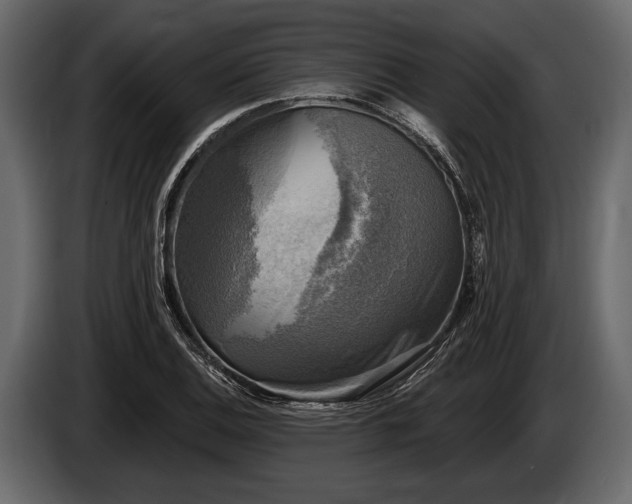 X0000085771124200703231217