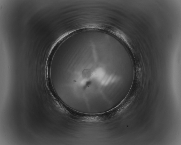 X0000085771125200703231217