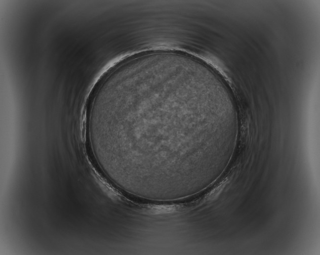 X0000085771126200703231217