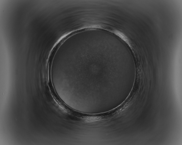 X0000085771127200703231217