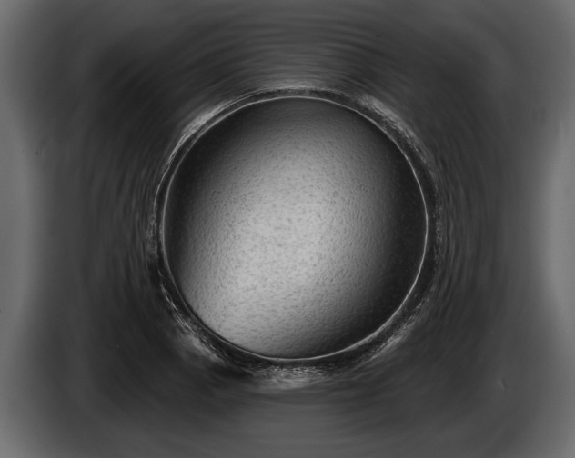 X0000085771129200703231217