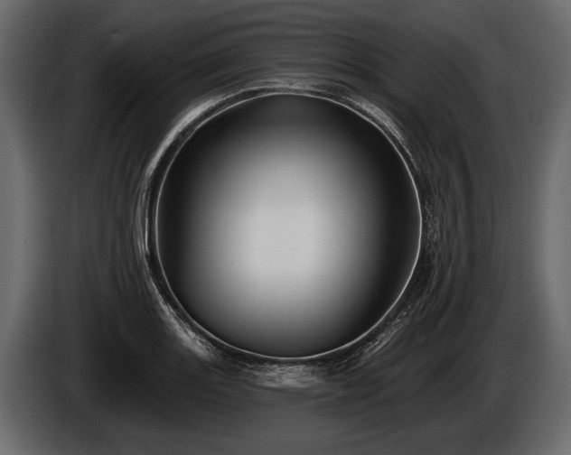 X0000085771131200703231217