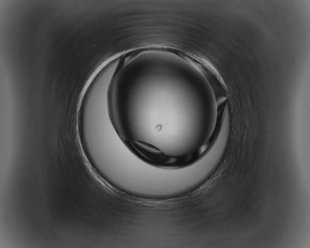 X0000085771132200703231217