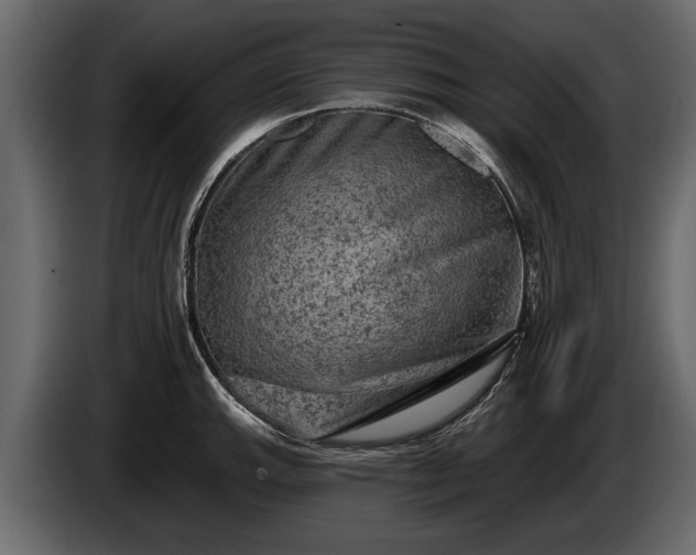 X0000085771143200703231218