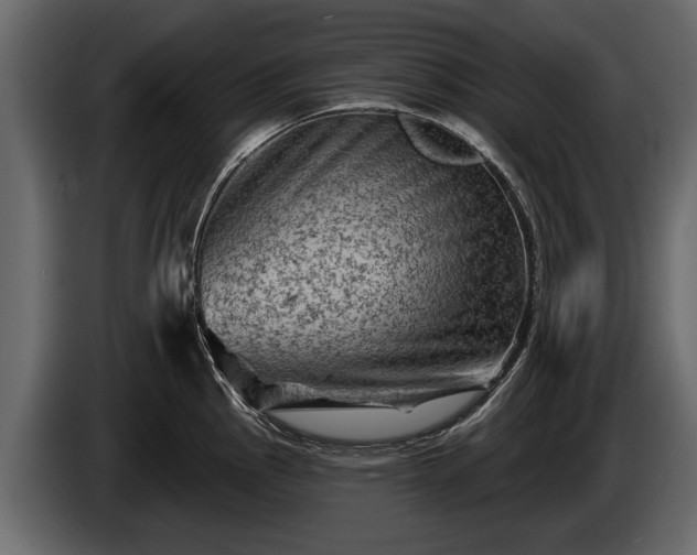 X0000085771145200703231218