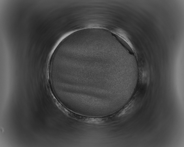 X0000085771148200703231218