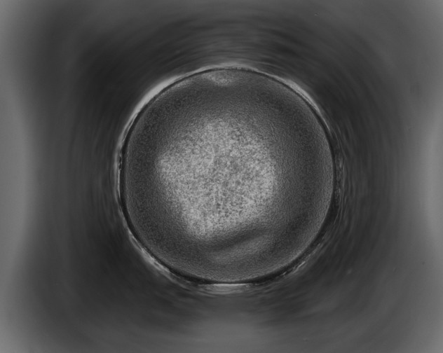 X0000085771151200703231218