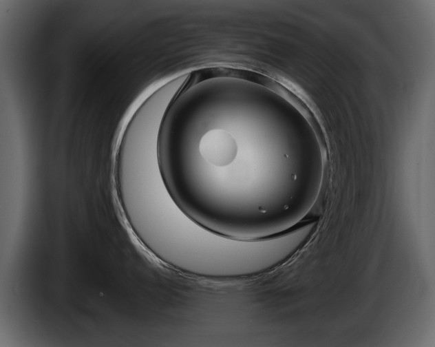 X0000085771152200703231218