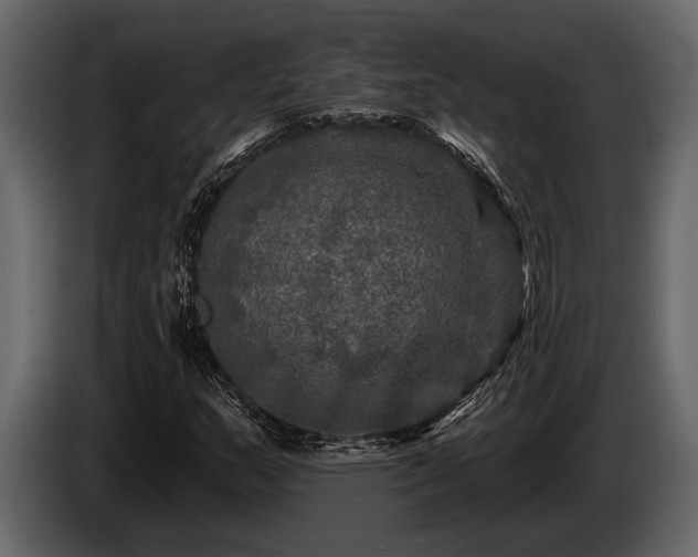 X0000085771159200703231217