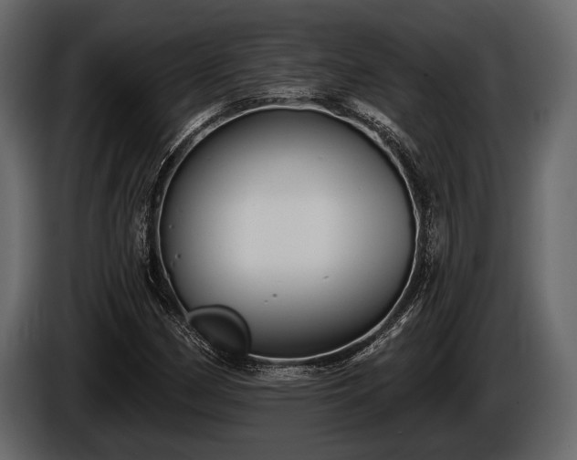 X0000085771162200703231217