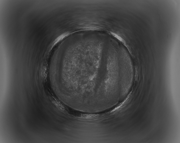 X0000085771163200703231217