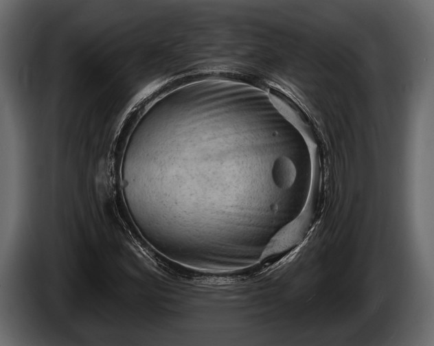 X0000085771164200703231217