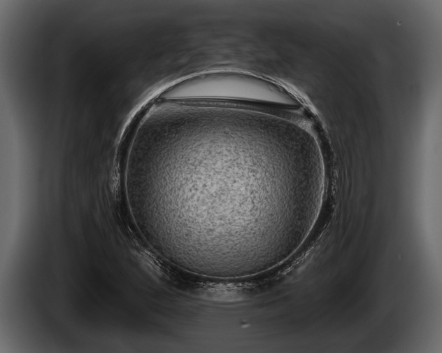 X0000085771167200703231217