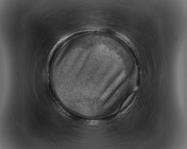 X0000085771172200703231217