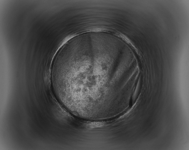 X0000085771178200703231217