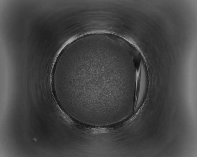 X0000085771181200703231217