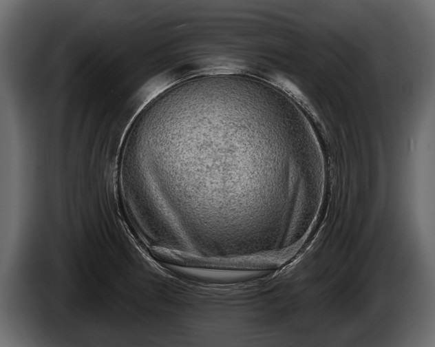 X0000085771186200703231216